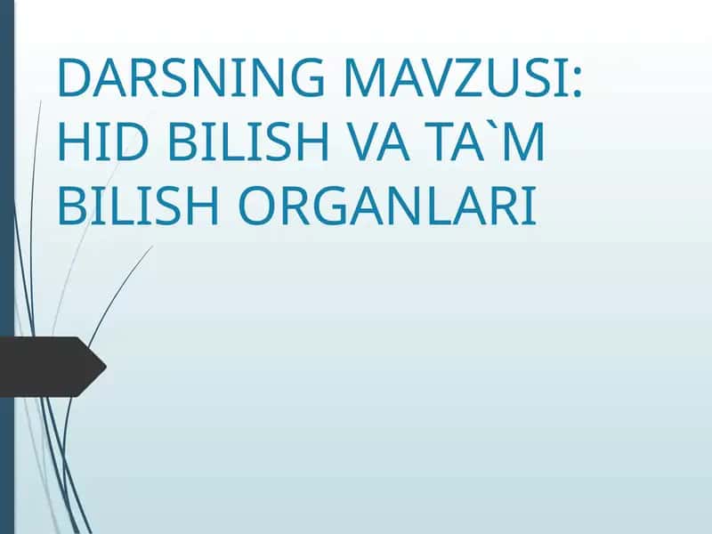 HID BILISH VA TA`M BILISH ORGANLARI