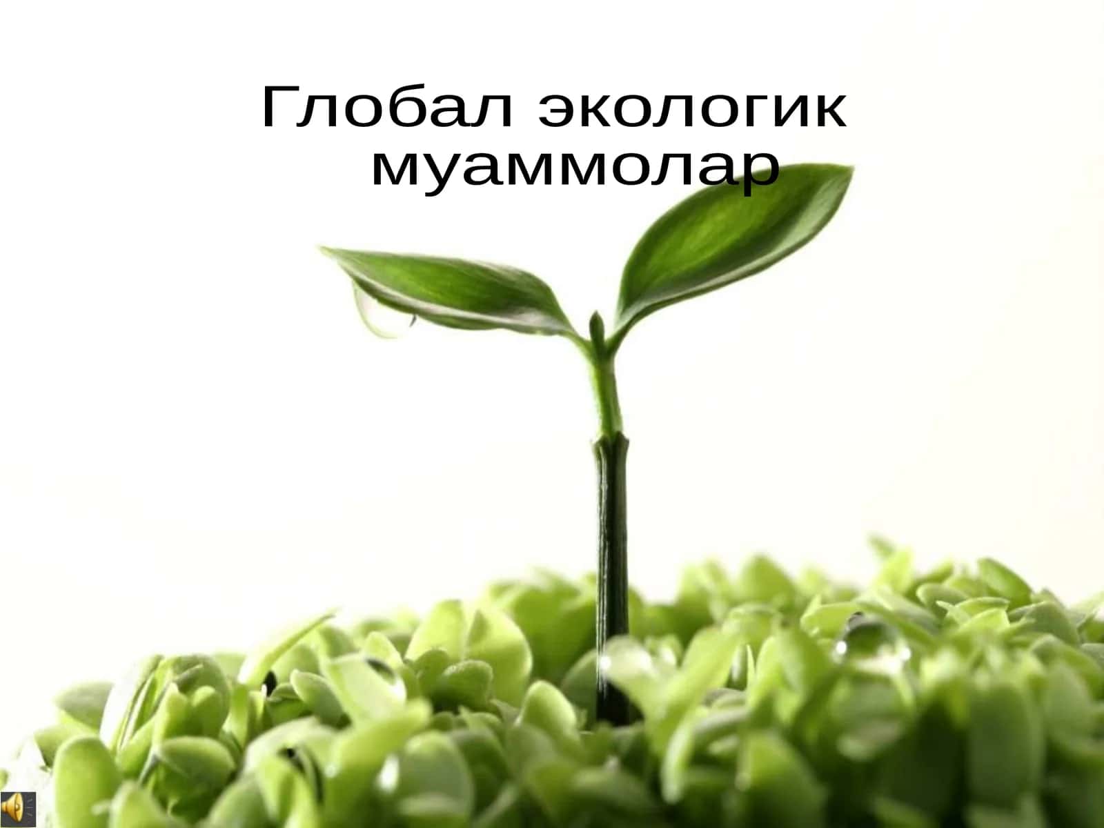 Глобал экологик муаммолар