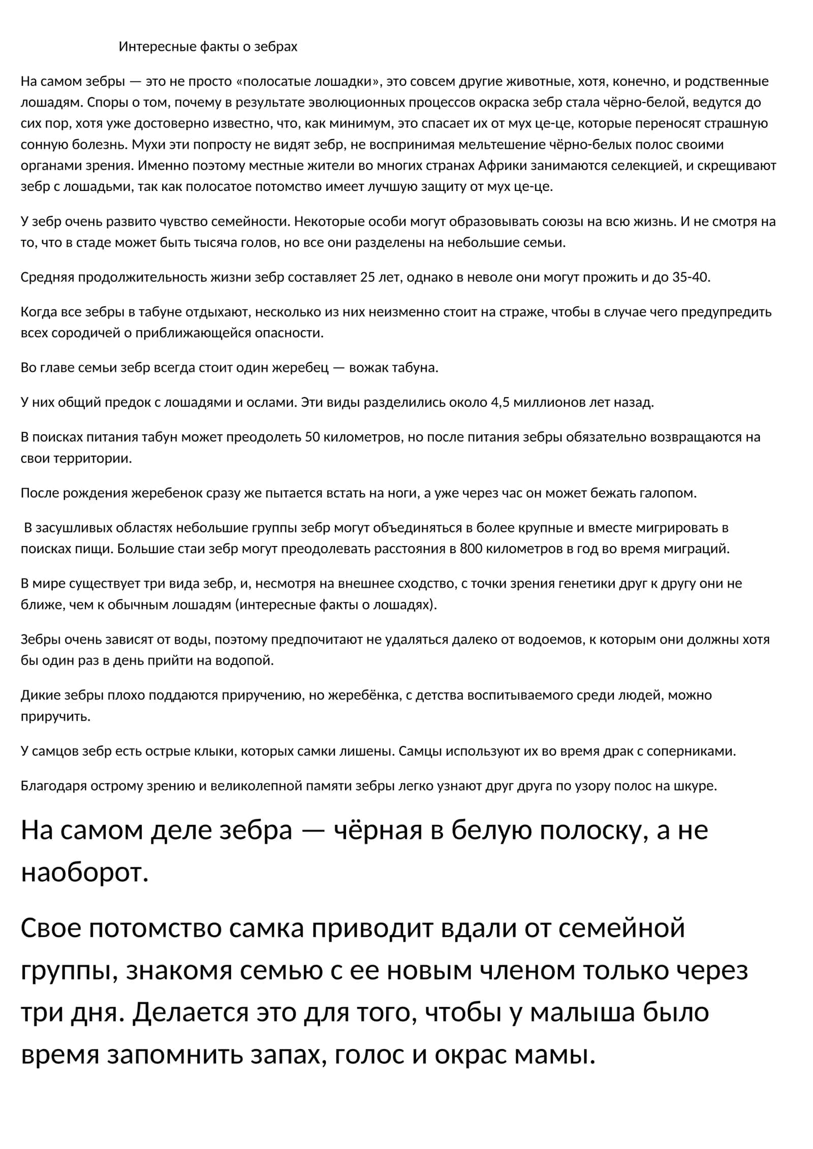 Интересные факты о зебрах