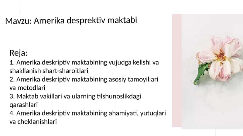 Amerika deskriptiv maktabi