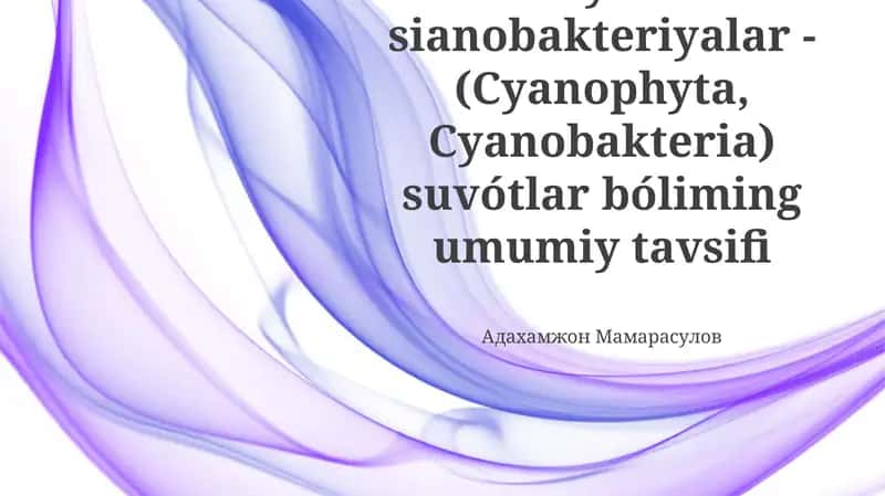 Kôk yashil sianobakteriyalar -(Cyanophyta, Cyanobakteria) suvótlar bóliming umumiy tavsifi