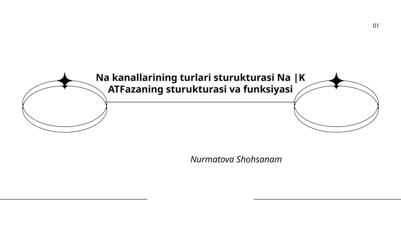 Natriy kanallari turlari va funksiyasi