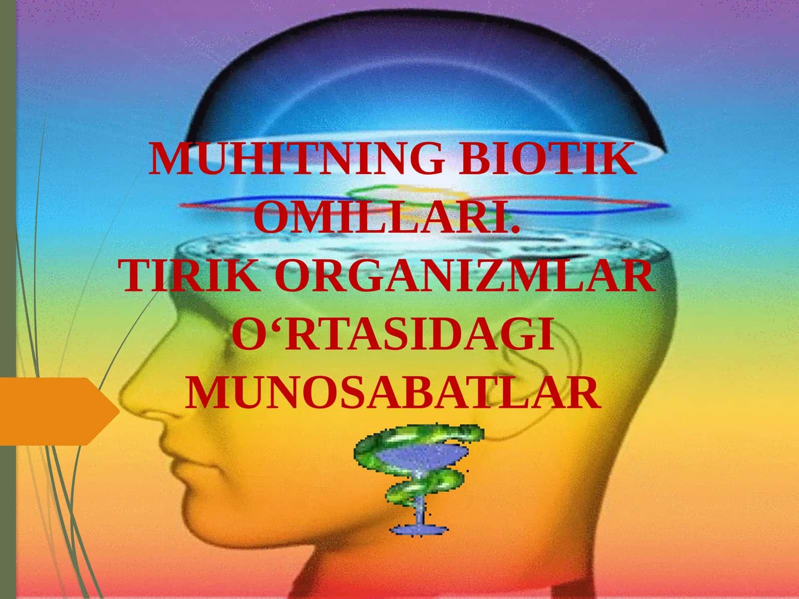 MUHITNING BIOTIK OMILLARI.TIRIK ORGANIZMLARO‘RTASIDAGI MUNOSABATLAR