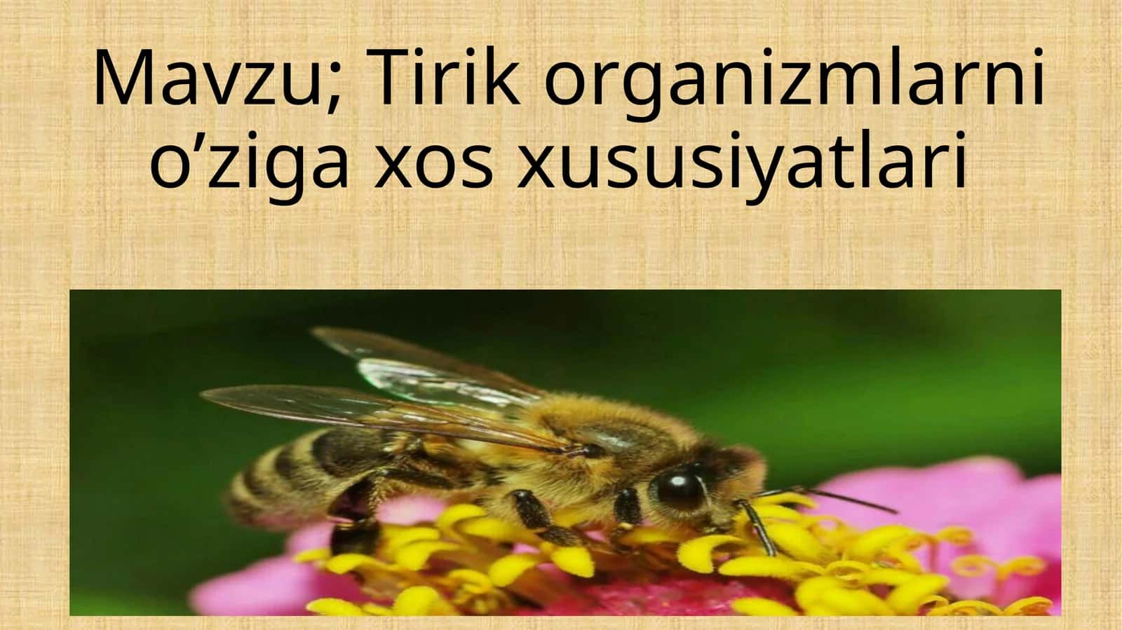 Tirik organizmlarni o’ziga xos xususiyatlari
