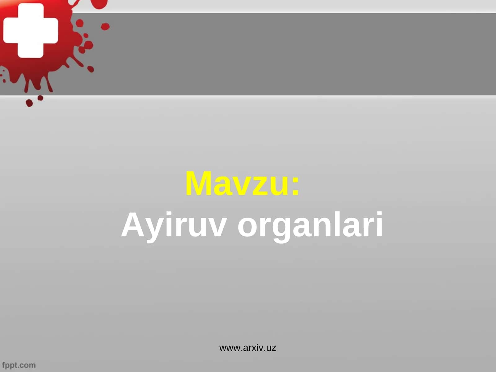 Ayiruv organlari