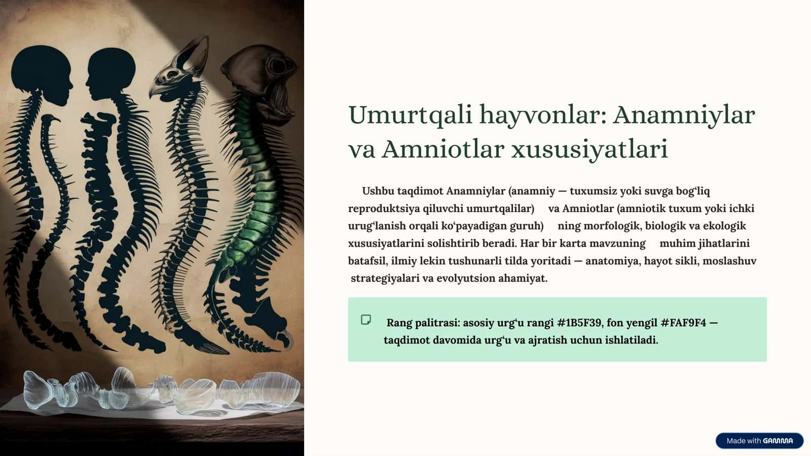 Umurtqali hayvonlar: Anamniylar va Amniotlar xususiyatlari