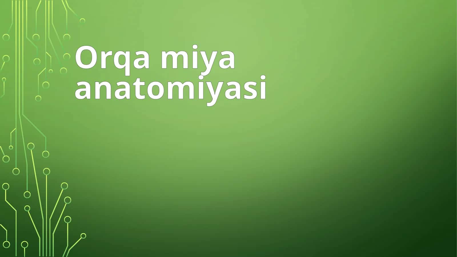 Orqa miya anatomiyasi