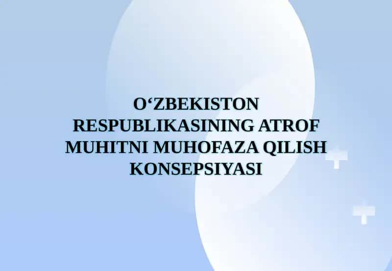 O‘zbekiston Respublikasining Atrof Muhitni Muhofaza Qilish Konsepsiyasi