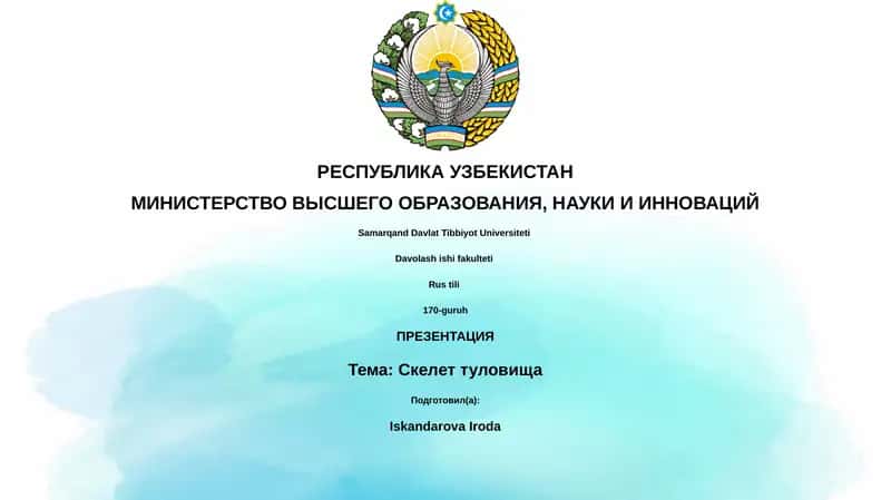Презентация "Скелет туловища"