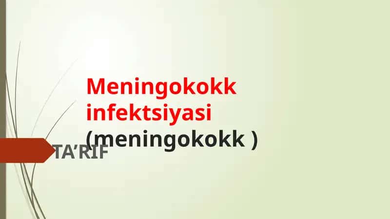 Meningokokkinfektsiyasi(meningokokk)