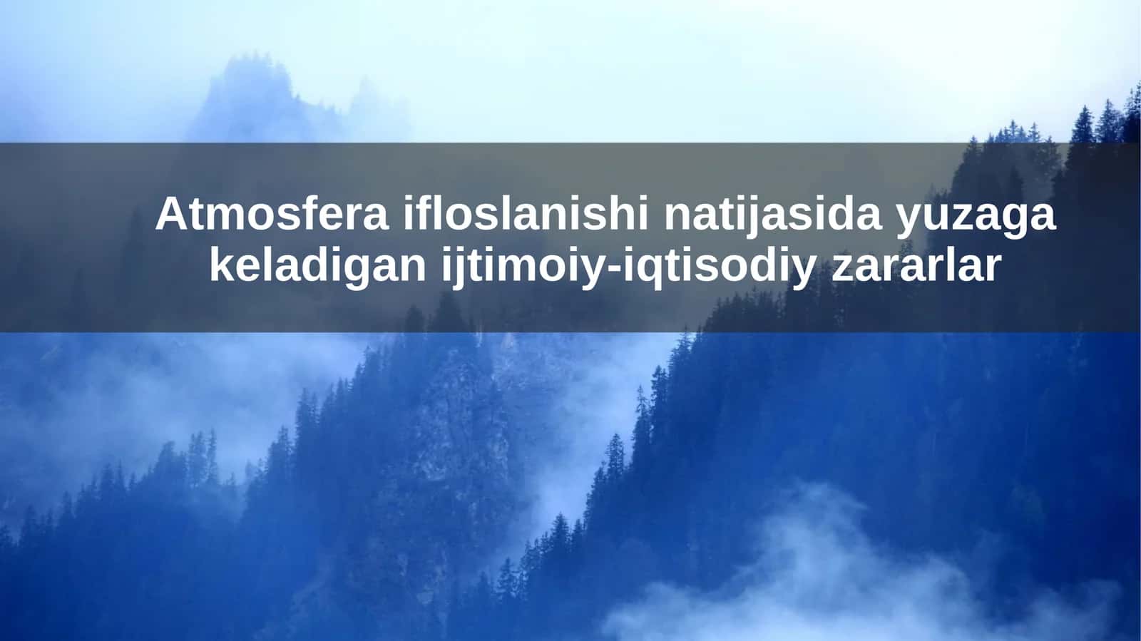 Atmosfera ifloslanishi natijasida yuzaga keladigan ijtimoiy-iqtisodiy zararlar