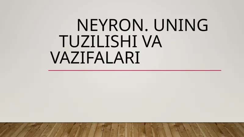 Neyron. Uning tuzilishi va vazifalari