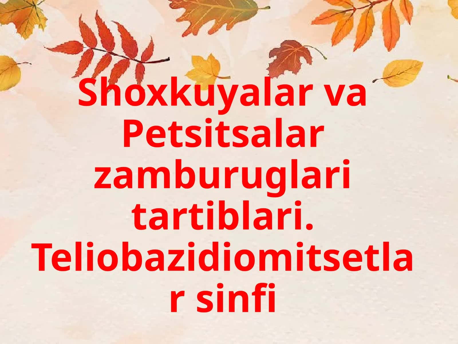 Zamburugʻlar va Petsitsalar