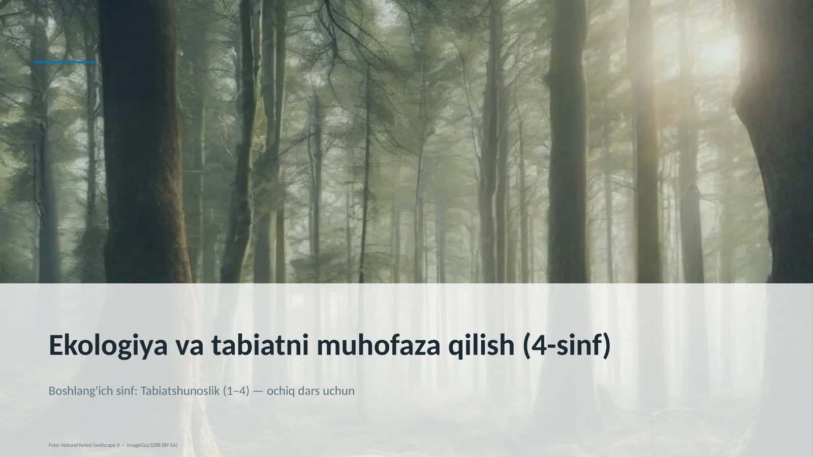 Ekologiya va tabiatni muhofaza qilish (4-sinf)
