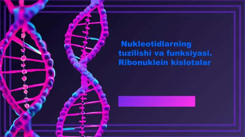 Nukleotidlar va genetik ma'lumot uzatish