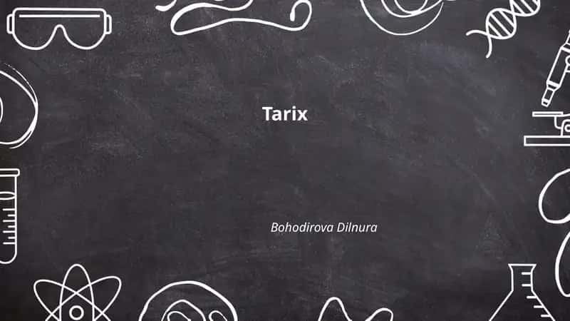 Tarix