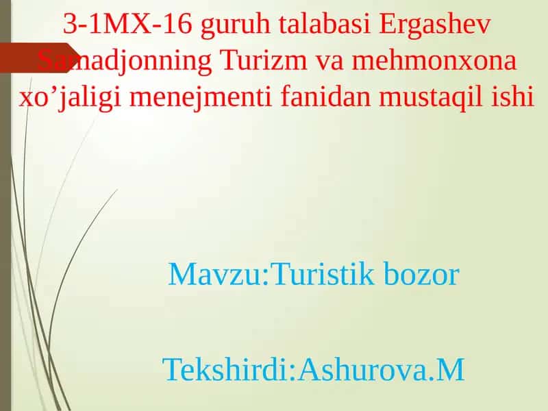 Turistik bozor
