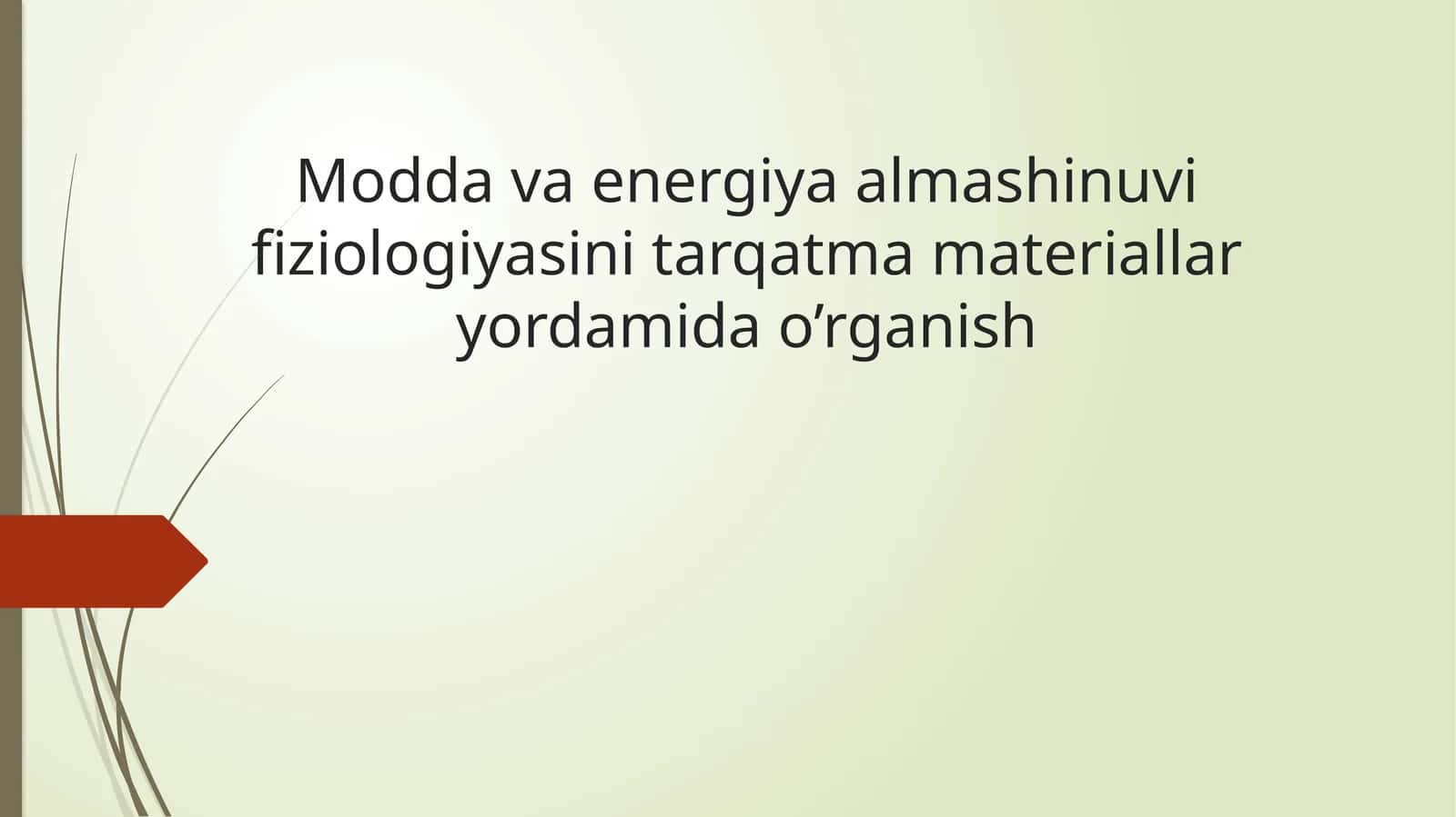 Moddava energiya almashtirish fiziologiyasini tarqatma materiallari orqali o’rganish