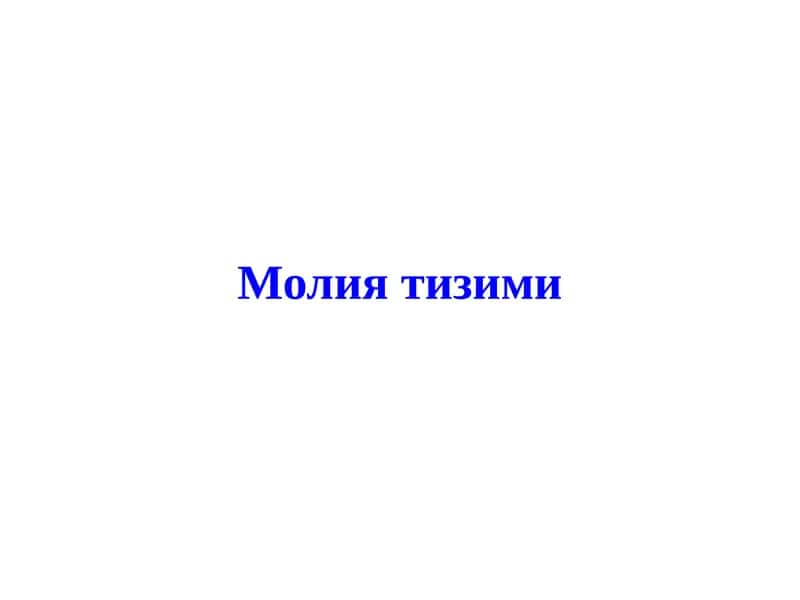 Молия Тизими