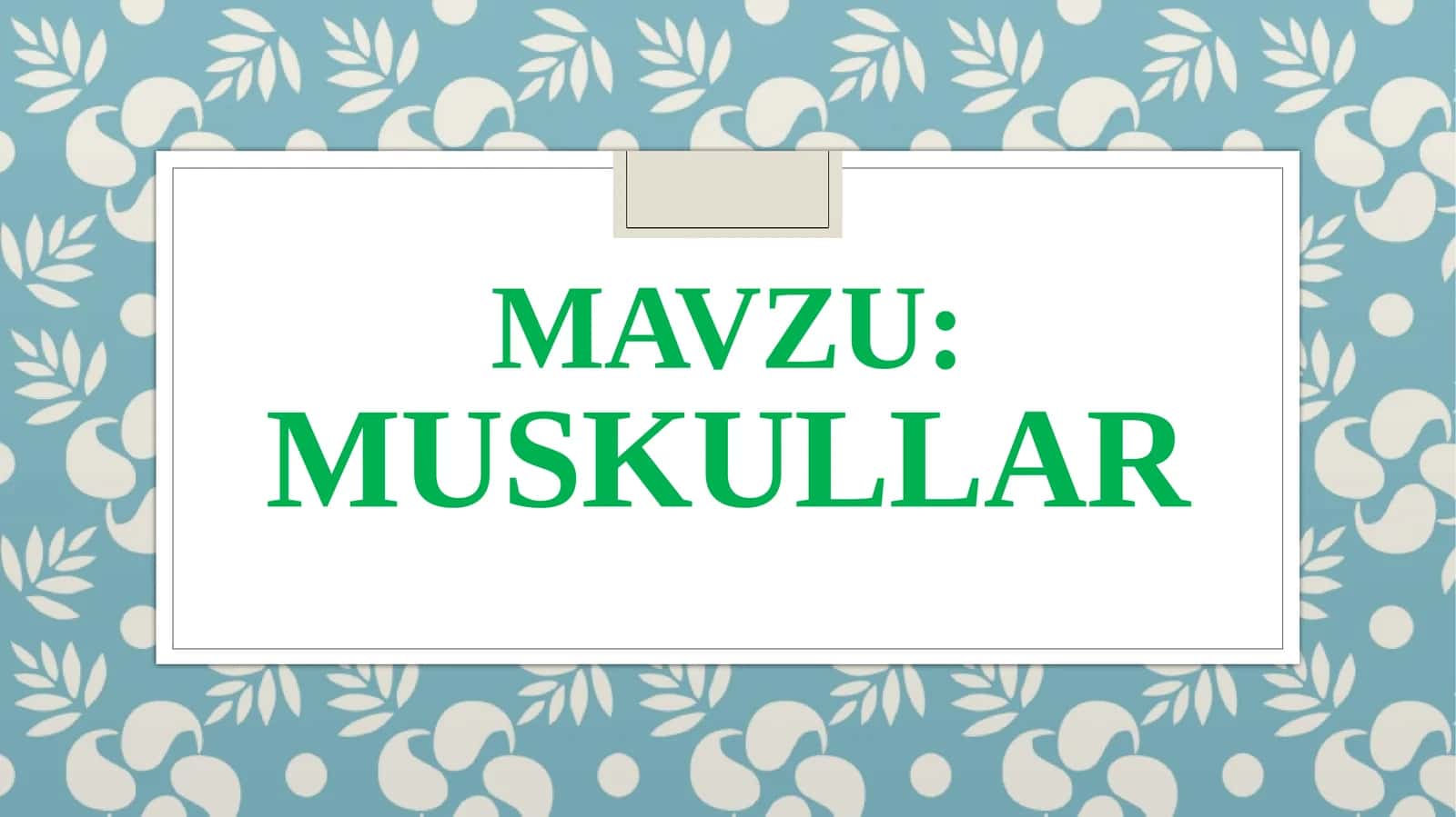 Muskullar