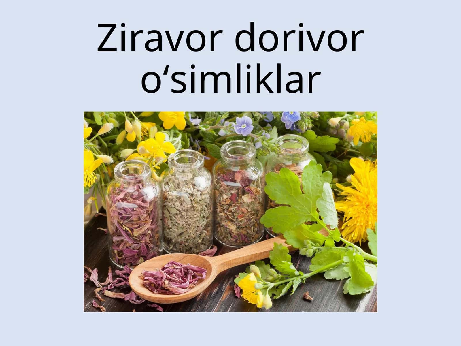 Ziravor dorivor о‘simliklar