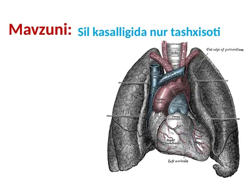 Sil kasalligida nur tashxisoti