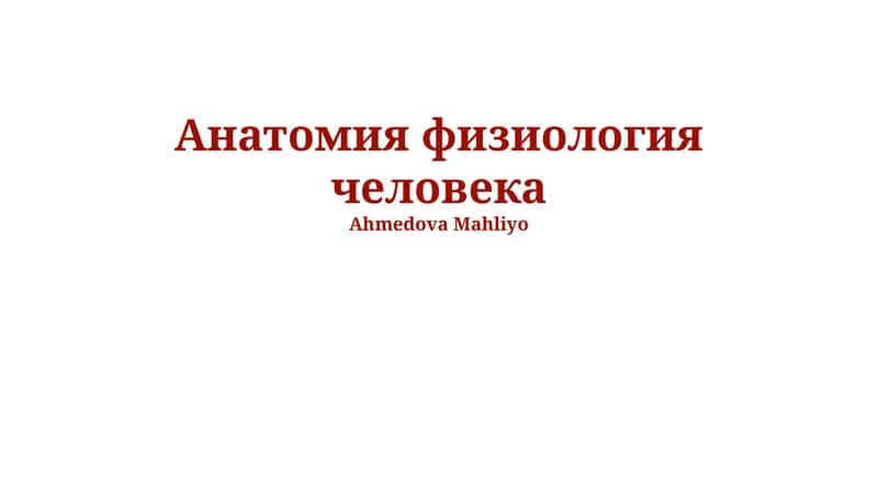 Анатомия физиология человека