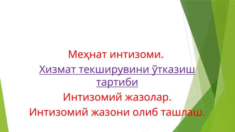 Меҳнат интизоми (295-модда)
