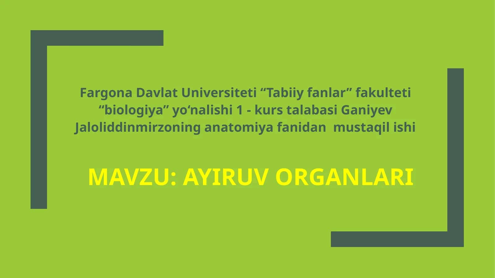 Ayiruvorganlari