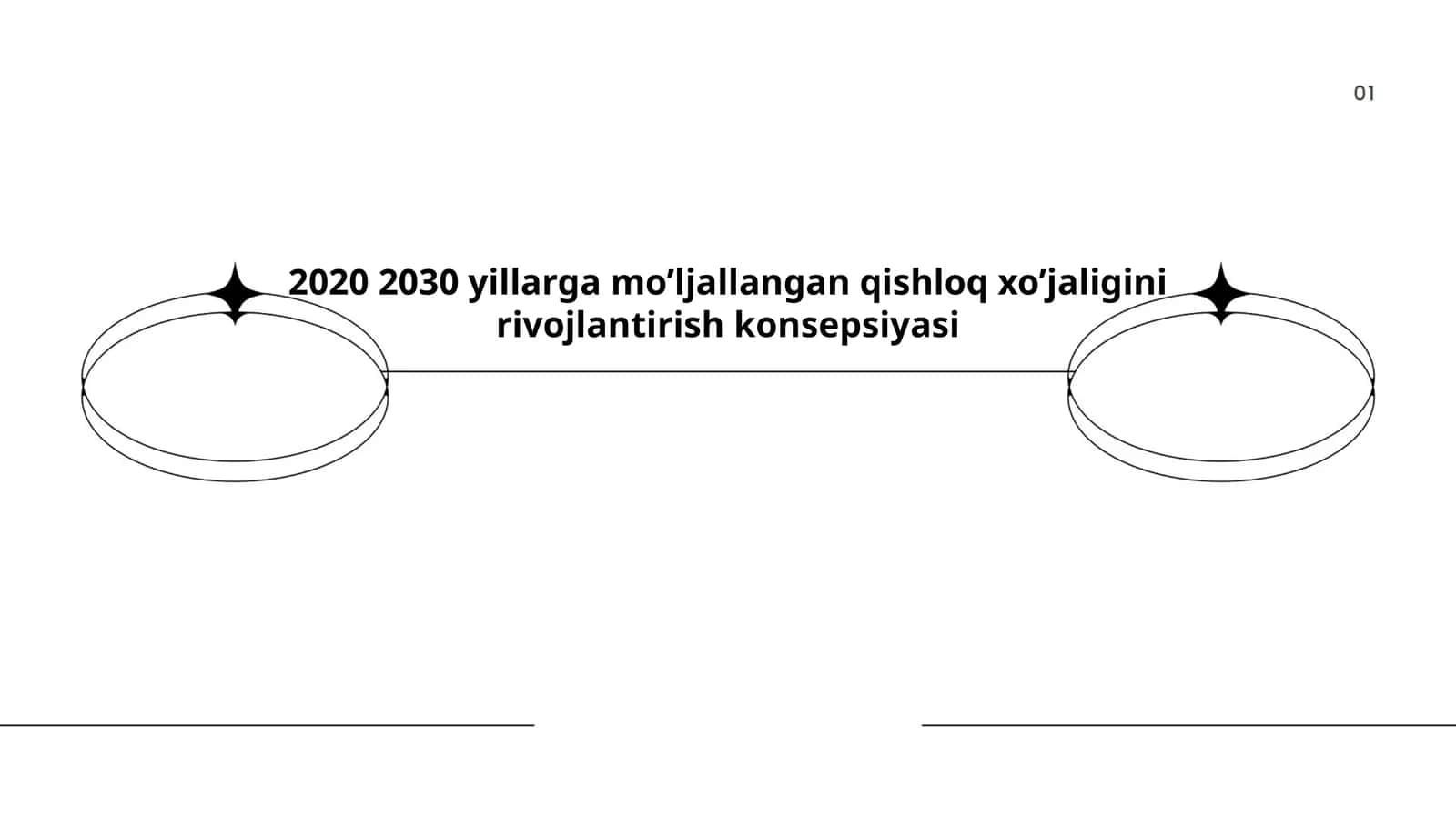 Qishloq xo'jaligini rivojlantirish konsepsiyasi