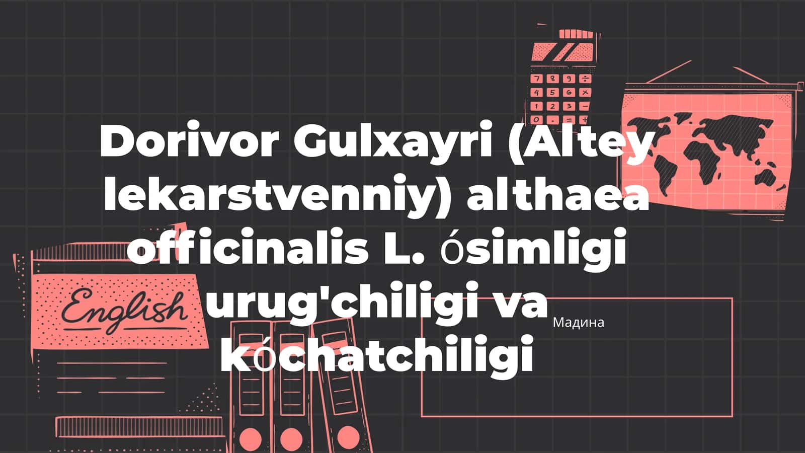 Dorivor Gulxayri (Altey lekarstvenniy)
