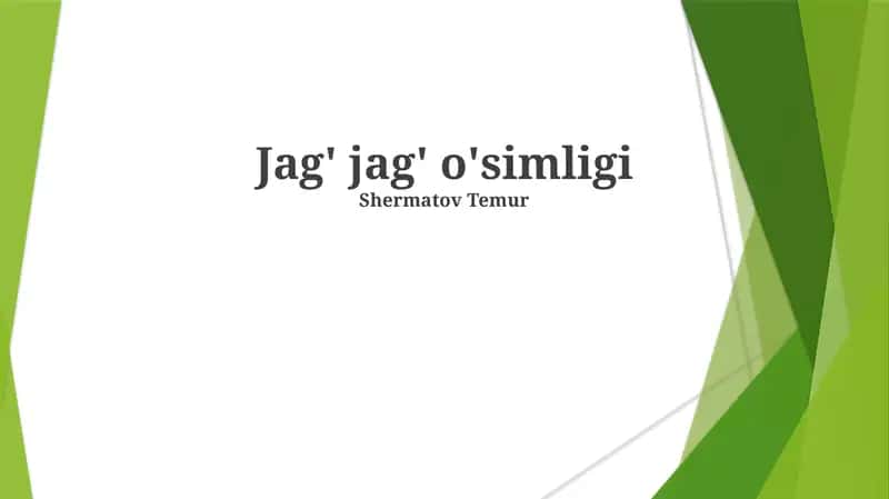 Jag' jag' o'simligi