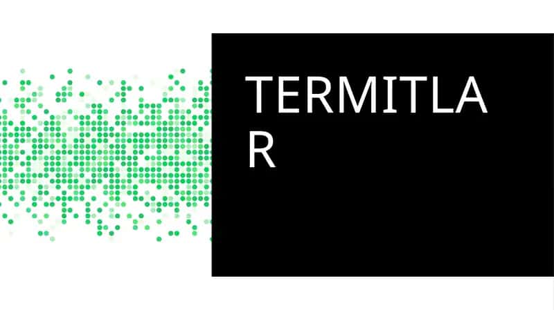 Termitlar