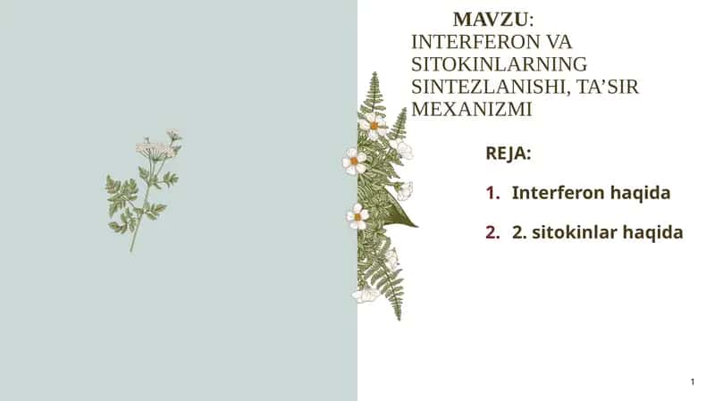 INTERFERON VA SITOKINLARNING SINTEZLANISHI
