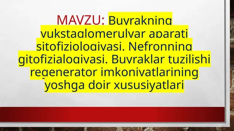Buyrakning yukstaglomerulyar aparati sitofiziologiyasi. Nefronning gitofizialogiyasi. Buyraklar tuzilishi regenerator imkoniyatlarining yoshga doir xususiyatlari