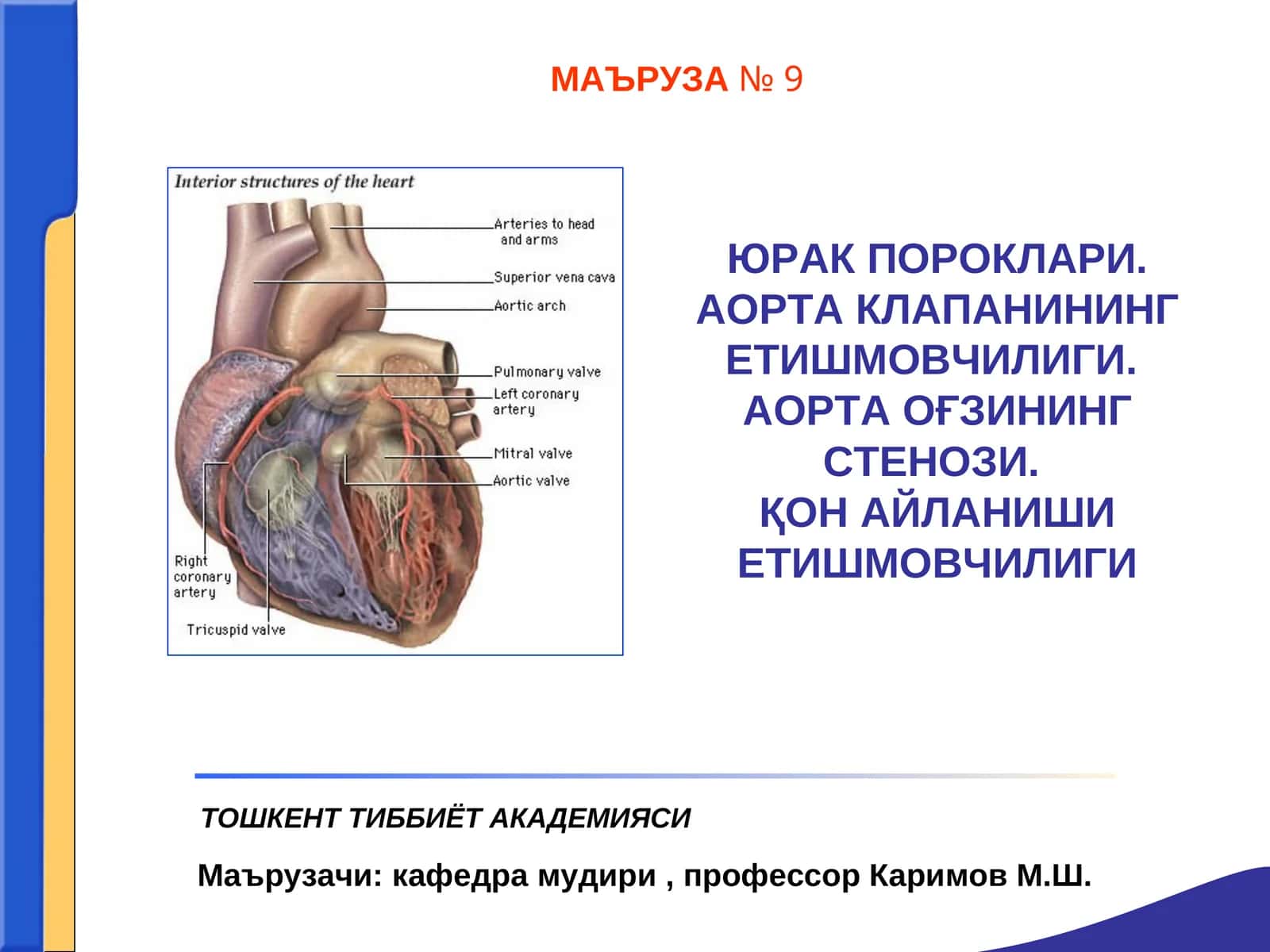 Аортал пороклар
