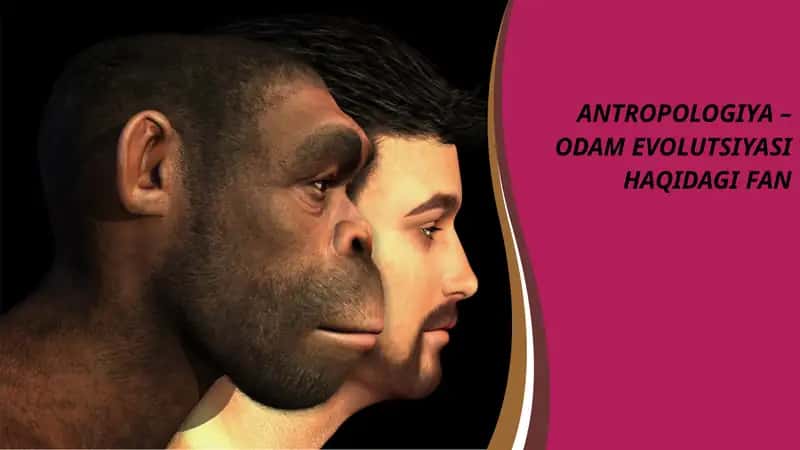 ANTROPOLOGIYA – ODAM EVOLUTSIYASI HAQIDAGI FAN
