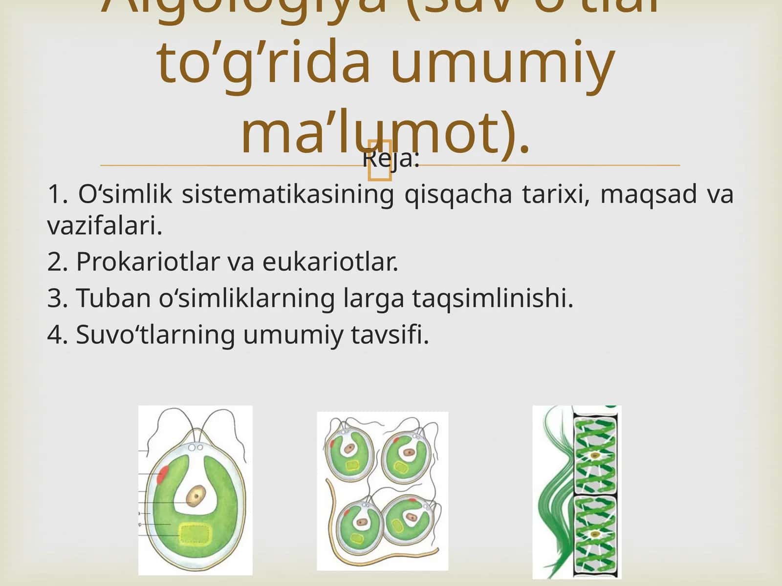 O‘simliklar Sistematikasi