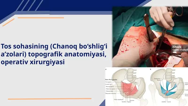 Tossohasining(Chanoqbo‘shlig‘ia’zolari)topografikanatomiyasi,operativxirurgiyasi