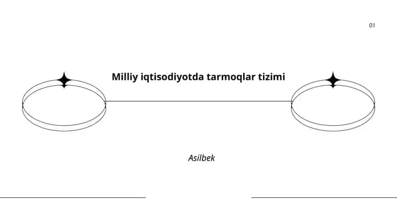 Milliy iqtisodiyotda tarmoqlar tizimi