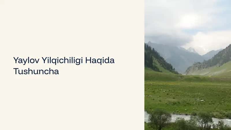 Yaylov Yilqichiligi Haqida Tushuncha