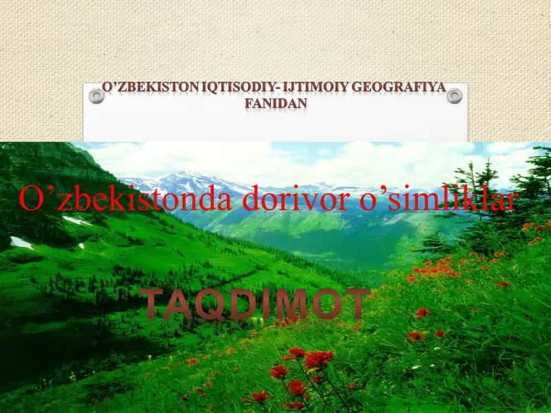 O'simlik olamining sayyoramizdagi o'rniva uning inson hayotidagi ahamiyati