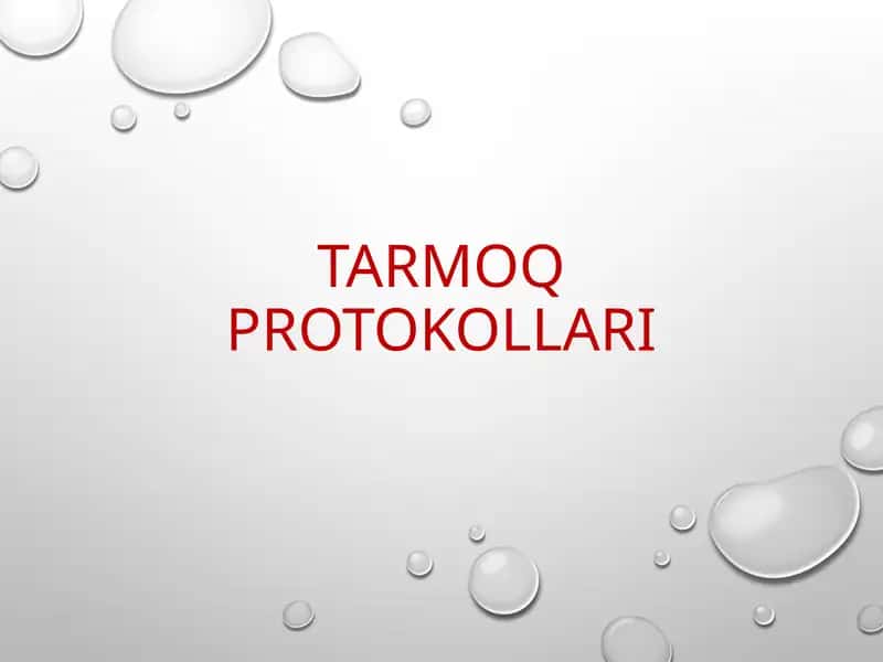Tarmoq protokollari