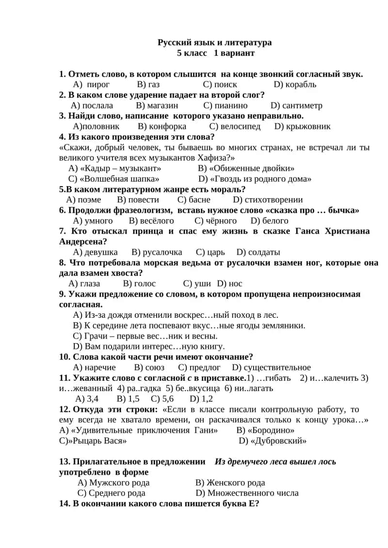 Русский язык и литература 5 класс 1 вариант