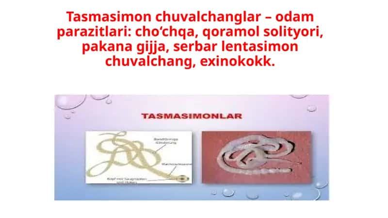 Tasmasimon chuvalchanglar–odam parazitlari