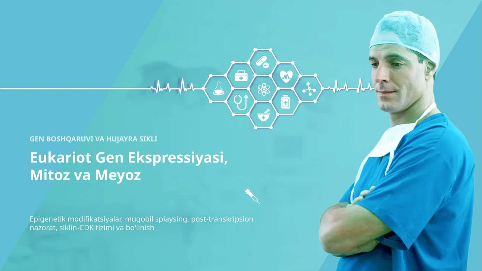 Gen Boshqaruvi, Epigenetika va Hujayra Sikli
