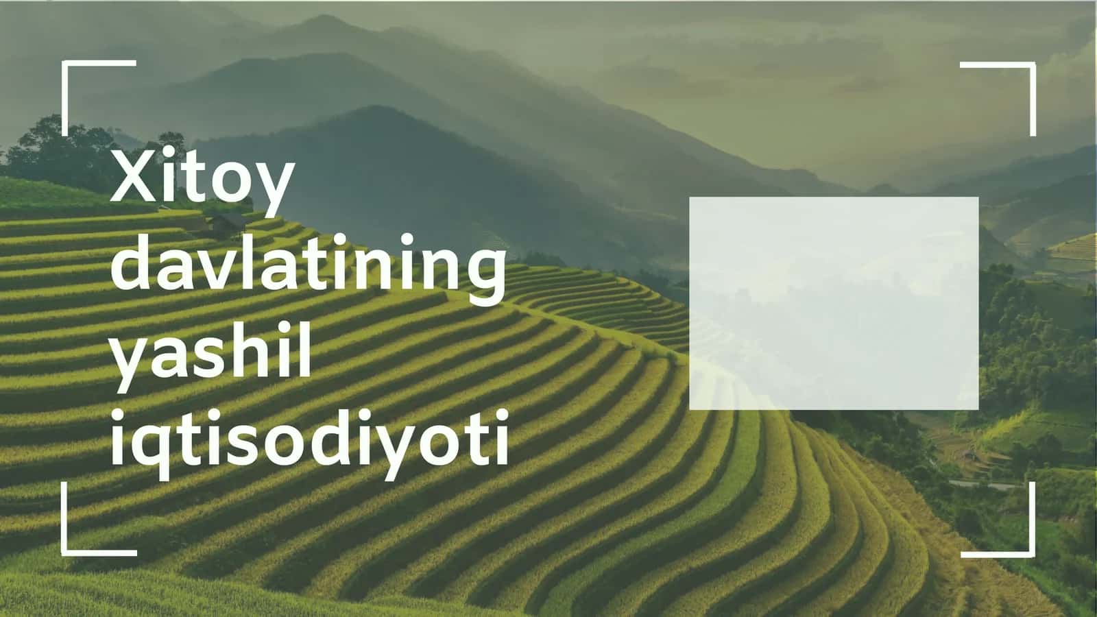 Yashil iqtisodiyot