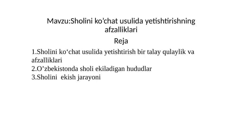 Sholini ko’chat usulida yetishtirishning afzalliklari