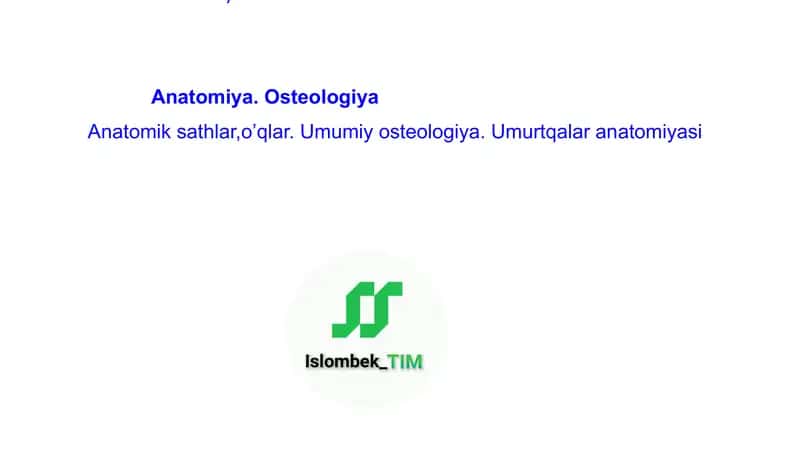 Anatomiya. Osteologiya Anatomik sathlar,o’qlar. Umumiy osteologiya. Umurtqalar anatomiyasi