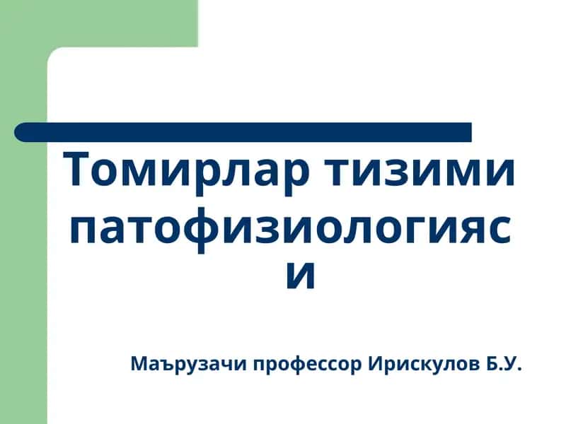 Томирлар тизими